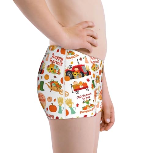 Boys' Cotton Boxer Brief Soft Underwear-Fall Farm Pumpkin2