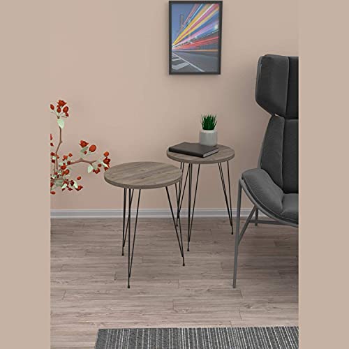 Pak Home - Set Of 2 Pine Wood Grey End Table – Round Wood Sofa Side Coffee Tables For Small Spaces, Nightstand Bedside Table For Bedroom, Living Room, Home Office, Balcony #TOP4