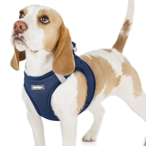 rabbitgoo Small Dog Mesh Harness with Safety Buckle, Navy M