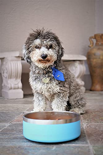 Coldest Dog Bowl - Stainless Steel Non Slip No Spill Proof Skid Metal Insulated Dog Bowls, Cats, Pet Food Water Dish… - Image 7