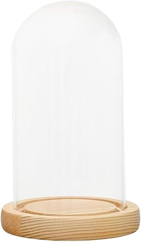 Cloche en verre, vitrine de table, 2 pièces de 5 à 10 cm de diamètre, couvercle de dôme en verre transparent avec base en bois, couvercle transparent pratique, vitrine multifonctionnelle(7x30cm)