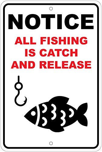 All Fishing is Catch and Release Notice 8