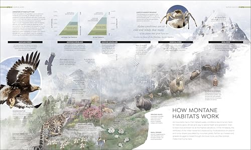 Habitats: Discover Earth's Precious Wild Places - Image 5
