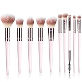 Makeup Brush Set, Premium Synthetic 10 PCS Makeup Brushes, Travel Makeup Brush Set with Soft Hairs, Makeup Brushes Set Professional for Blush, Eyeliner, Eyeshadow, Concealer, and Foundation (Pink)