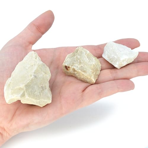 Image of EISCO 12PK Raw Fine White Marble, Metamorphic Rock Specimens - Approx. 1 inch - Geologist Selected & Hand Processed - Great for Science Classrooms - Class Pack