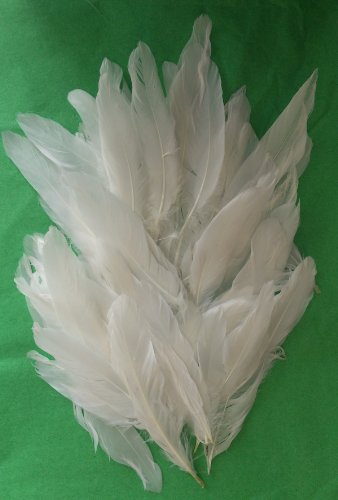 Quill Craft Feathers - White - 5 Packs - Average
