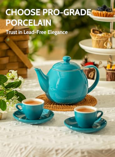 Image of Sweese Teapot, Porcelain Tea Pot with Stainless Steel Infuser, Blooming & Loose Leaf Teapot - 27ounce, Steel Blue