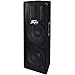 Peavey PV215 PA Speaker Cabinet, Two 15