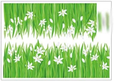 Window Sticker Glass Film Wall Stickers Waistline Home Decor Flower for Windows Door