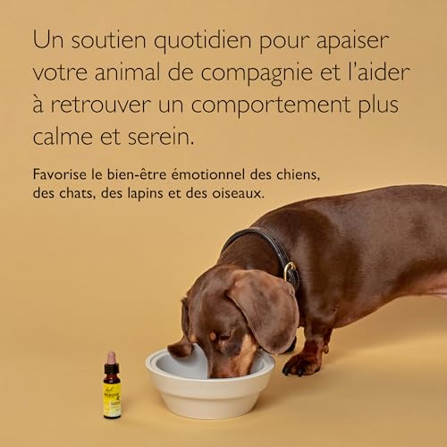 Rescue Pets 20ml - vue 6