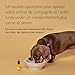 RESCUE PETS – Tropfer – Gelassenheit für Haustiere – Ideal für Reisen, Tierarztbesuch, Fellpflege, Lärm und Einsamkeit – ohne Alkohol, natürlich und vegan – Flasche 20 ml