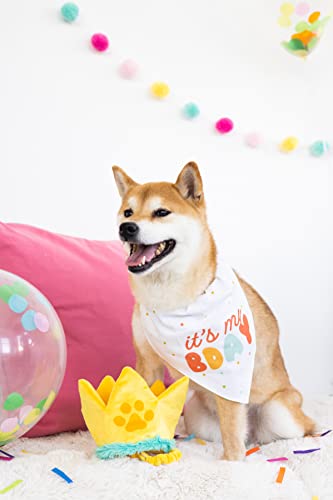 Pearhead Happy Barkday M/L Bandana Hat Set, Pet Birthday Gift, Dog Birthday Party Accessories, Party Hat And Bandana For Dogs, Pet Owner Must Have Accessories, Medium/Large #TOP1