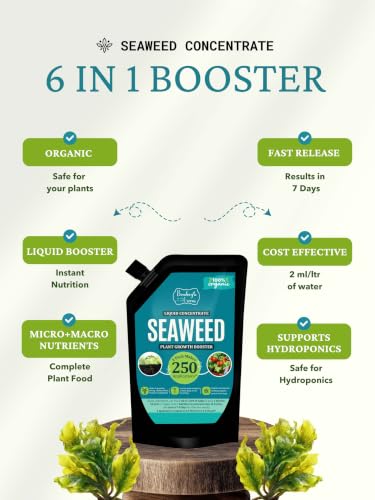 Image of Bombay Greens Organic Seaweed Liquid Booster Home garden, Flowers, Vegetables, Fruits, Herbs | Seaweed for flowering plants and all Outdoor Plants - 250 ml