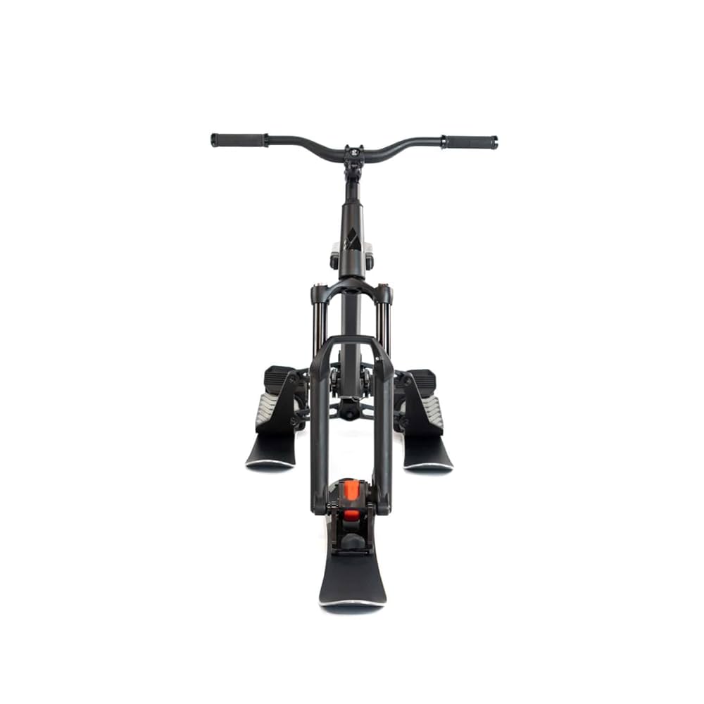 トゥインゴ専用純正ルーフバー 自転車 、スキー、スノーボード対応 Renault TWINGO Accessories