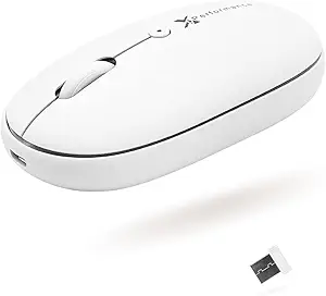 X9 2.4G Wireless Mouse - Quiet and Comfortable Computer Mouse with USB Receiver and 3 Adjustable Levels - Cordless Mouse Wireless Mice for Windows Mac PC Notebook Chromebook
