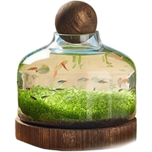 TAYOAKX l NGCeBu ؐT|[g Rei ȉ~` k͔|Rei (C)