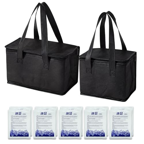 2 Stück kühltasche klein （7.5L + 5L），10 Stück Ice Bag，Kleine Kühltasche für Unterwegs，Isoliertasche Klein，Faltbare Kühlt...
