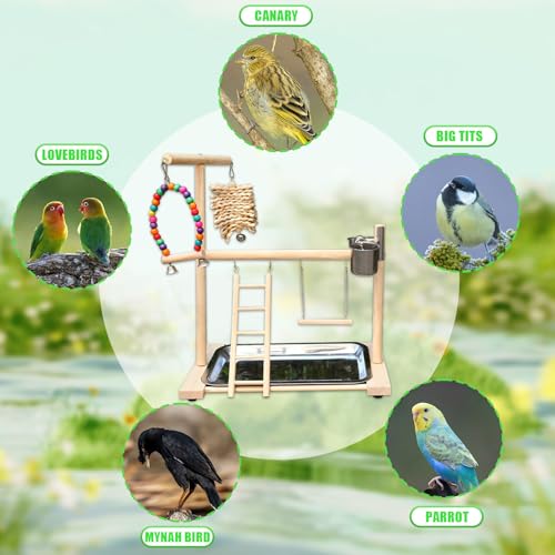 Image of Bird Stand, Natural Wood, Parrot Playground with Removable Tray & 2 Stainless Steel Feeder Cups, Suitable for Parakeet, Conure, Cockatiel, Lovebird, Canary, Lorikeet & African Grey