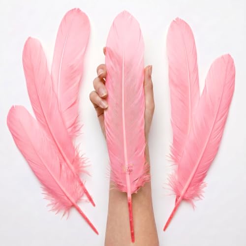 Image of Natural Dyed Goose Quills 12-14 Inch (5 Pieces) (Bubblegum Pink)