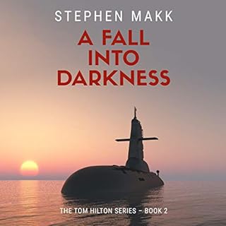 A Fall into Darkness Audiolibro Por Stephen Makk arte de portada