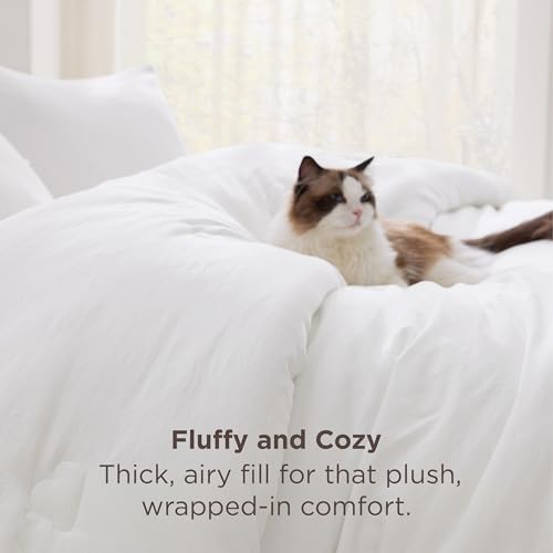 Image of Bedsure Queen Comforter Set White, Soft Prewashed Queen Size Bedding, Quilted Comforter with Cloud Design, Down Alternative Comforter for All Seasons, 3 Pieces Bed Set with 2 Pillow Shams