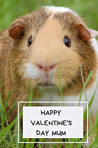 Happy Valentine's Day Mum: Cute Valentine's Day Gift For Guinea Pig Owner: Blue Lined Journal Notepad (Guinea Pig Lover's Valentine's Notebook)