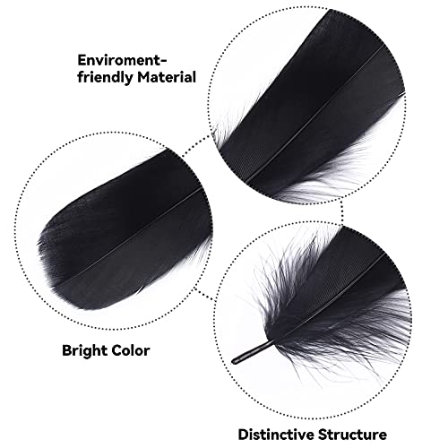 durony 300 Pieces Features Natural Colored Crafts Feathers DIY Dream Catchers Feathers Craft Feathers for DIY Crafts Decorations, Black steampunk buy now online durony 300 Pieces Features Natural Colored Crafts Feathers DIY Dream Catchers Feathers Craft Feathers for DIY Crafts Decorations, Black steampunk buy now online