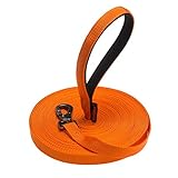 BINGPET Long Dog Leash 50ft Training Leash Pet Traction Web Rope Obedience Recall Control Lead