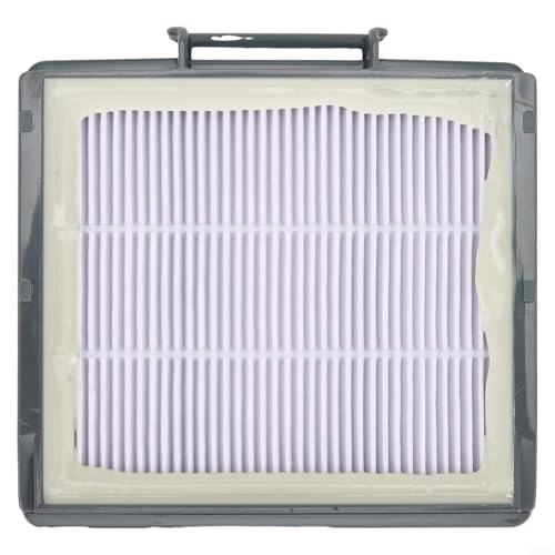 Replacement Filter for RV2001 RV2001WD RV2000WD RV2001DRUS RV2001WRUS AV2001WD AV1002AE QR1000SB QR1000SG RV700 RV720 RV850WV RV851WV RV860WVC RV871 RV871C RV1000 Vacuum Cleaner Parts Accessories(2pc)