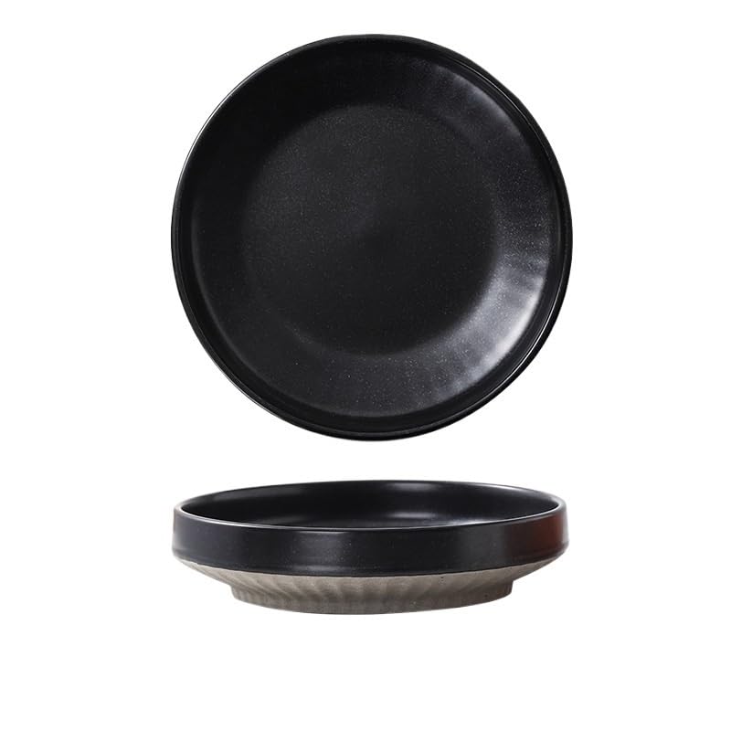 Japanischer Teller aus Steingut, 25,9 cm, für Frühstück, Nudelsalat, elegantes Design, perfekt für Zuhause oder Restaurant, schwarzes Finish
