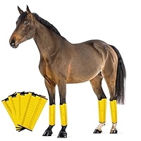 Frontal anti-mouche pour chevaux Covalliero multicolore