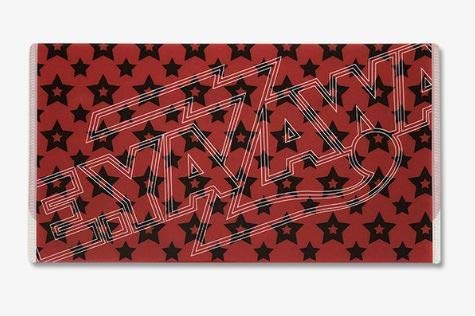 Amazon.co.jp: 矢沢永吉（EIKICHI YAZAWA） 小物ケース(ロゴ) 2枚