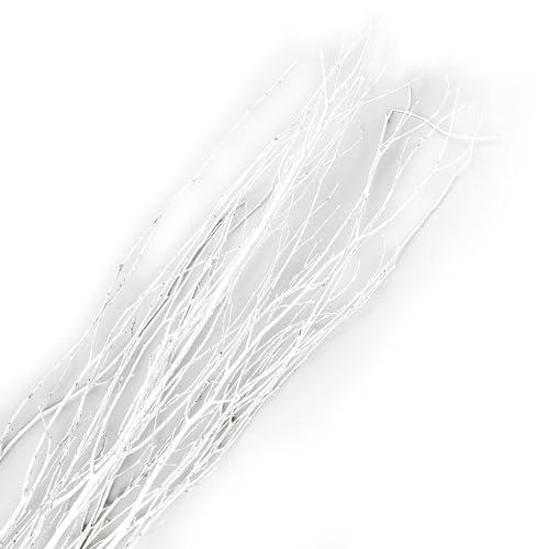 GS Foliage Branches for Vase, 3'–4' Natural Birch Tree Branches