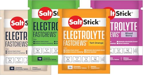 SaltStick FastChews 4er Testpaket (4 Tüten á 10 Kautabletten verschiedene Geschmacksrichtungen)