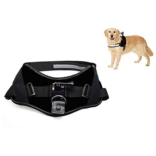 Activeon acm09dv Dog Harness – Action Sports Camera Accessories (Dog Harness, Dog, Black)