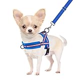 SlowTon No Pull Small Dog Harness and Leash Set, Puppy Soft Vest Harness Neck & Chest Adjustable, Reflective Lightweight Harness & Anti-Twist Pet Lead Combo for Small Medium Dogs (DB-Front Clip, S)
