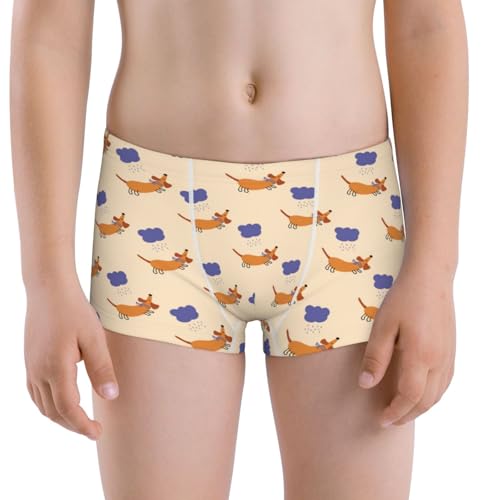 Boys' Cotton Boxer Brief Soft Underwear-Dachshund