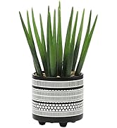 Small manufacture image 17