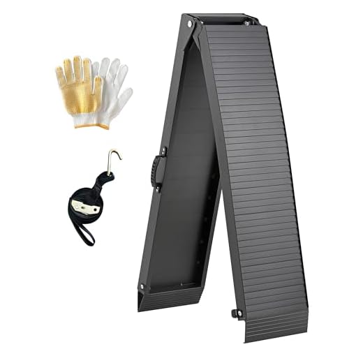 TaiH Leo 1 Pc of Motorcycle Ramp, Truck Ramp 750LBS Capacity, Ramp for Motorcycles/Dirt Bikes