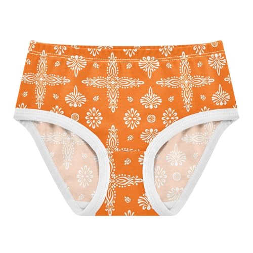Abstract Texture Orange Toddler Girls's Underwear 2T 2302887