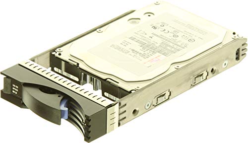 IBM 49Y1870 - 600 GB Interno