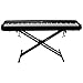 ChromaCast GoDpsMusic CC-KSTAND Double Braced X-Style Pro Series Keyboard Stand