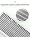 04383 Filter Replacement Compatible with Hamilton Beach 04383, 04384, 04385 Air Purifier, 1 True HEPA Filter & 4 Carbon Filters, Part# 990051000