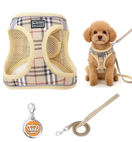 LOLANIUT Harnais pour Petit Chien avec Laisse, Harnais Chiot réglable et Respirant, Harnais Petit Chien Step-in Confortable pour Chien de Petite Taille, avec éléments réfléchissants pour Promenade