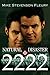Produktbild NATURAL DISASTER 2222