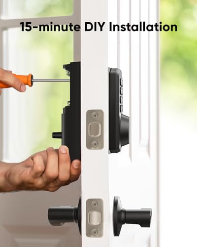 Security Smart Lock C30