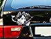 Decal Stickers for Cars Funny Window Decals Black and White Husky Car Decal Car Decoration Car Sticker Husky Sticker Self Adhesive Window Sticker for Van Truck Vehicle