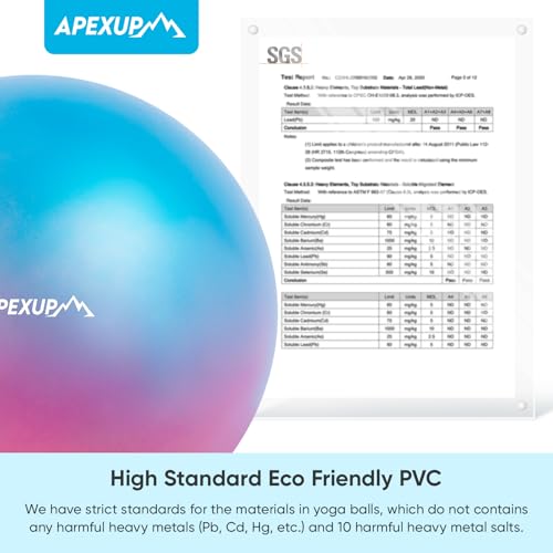 Image of APEXUP Yoga Ball, 660 lbs Anti-Burst Exercise Ball with Pump, 5 Sizes