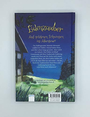 Eulenzauber 06. Hilfe für das kleine Fohlen