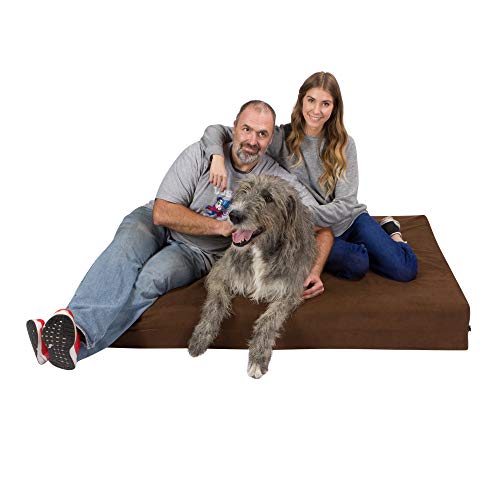 Back Support Systems Dog Bed | Lucky Dog Gel Memory Foam | Mammoth, Chocolate/Brown